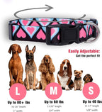 Native Pup Valentine’s Dog Collar- Valentines Day Pet Collars- Valentine Girly - Image 3