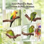 Bird Toys, Parakeet Foraging Toys, Hanging Chewing Toys - Image 4