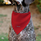 Peanuts Pet Bandana Snoopy Smiling Face Pose Red Slip On Collar Bandana Only - Image 5