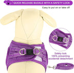 YIMEIS Dog Harness and Leash Set, No Pull Soft Mesh Pet Harness, Reflective - Image 2