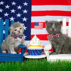 ADOGGYGO American Flag Cat Collar Breakaway - Image 3