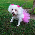 PET SHOW 4Pcs Pink Dog Birthday Hat - Image 7