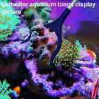 31.5Inch Long Corals Grabber, reefs Feeders, Aquarium Veggie Feedting Tool - Image 2