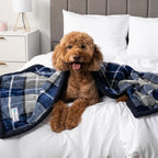 PetAmi Waterproof Dog Blanket for Medium Large Dog Puppy Cat Throw for Couch - Image 7