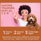 OUT! PetCare Go Here Attractant Dog and Puppy Potty Training Spray, Safe & - Image 5