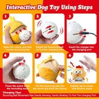 Interactive Dog Toys, Squeaky Moving Ball Toy - Image 7