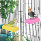 Wontee Bird Chewing Toys Grinding Beak Bird Perch Stand - Image 4