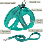 Dog Harness with Leash Set, No Pull Adjustable Reflective Step-in Puppy Pet - Image 2
