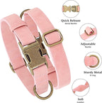 Didog Soft PU Leather Dog Collar, Stylish Quick Released Dog Collars - Image 2
