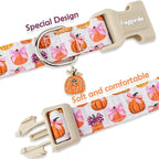 Faygarsle Fall Pumpkin Pattern Dog Collar - Image 4