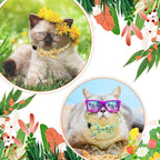 4 Pack Cat Collar with Bow Tie and Bell Breakaway Fruit Cat Collars Spring - Image 7