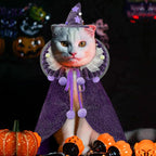 KOUPA Pet Halloween Costume - Image 8