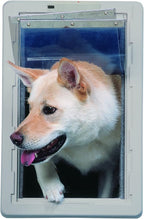IDEAL PET PRODUCTS Since 1979 Ideal Pet Products Designer Series Ruff Weather - Image 3