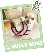 Nature Gnaws Bully Stick Bites for Small Dogs 2-4" - Image 7