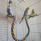 Bird Rope Perches for Parrots, Cockatiels, Budgie Cages Comfy Birds Colorful - Image 4