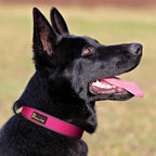 Plutus Pet Tactical Dog Collar, Reflective, Adjustable Heavy Duty Dog Collar - Image 6