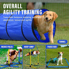 Dog Agility Training Equipment, Dog Agility Course Backyard Set - Image 3