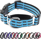 Hikiko Martingale Dog Collars Reflective Nylon Dog Collar by Hikiko
