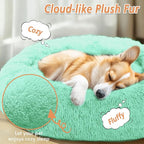 JOLLYVOGUE Calming Small Dog & Cat Bed - Image 2