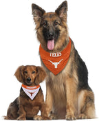 Pets First Collegiate Pet Accessories, Reversible Bandana, Texas Longhorns Size - Image 4