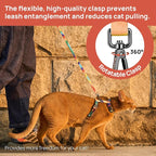 Cat Harness and Leash Set - Image 5