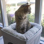 Kitty City Large Stackable Cat Condo & Cube House, Modular Indoor Cat Furniture - Image 8