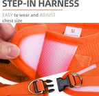 PUPTECK Adjustable Dog Harness Collar and Leash Set Step in No Pull Pet Harness - Image 3