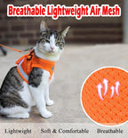 Cat Harnesses and Puppy Harness - Image 2