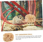 BESPORTBLE 2Pcs Small Bunny Molar Chew - Image 4