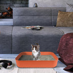 Small Litter Box, Plastic Kitten Litter Box, 13.9 x 9.8 x 3 Inch Open Litter Box - Image 7