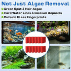 12-Pack Aquarium Glass Cleaner Sponges 3.25" x 3.25" x 1", Non-Scratch Scrubber - Image 6