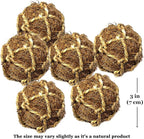 SunGrow Assorted Rabbit & Cat Chew Balls, Teething Activity Toy - Image 7