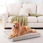 Orthopedic Memory Foam Dog Bed, Cooling Dog Beds - Image 2