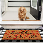 Tinideya 2 Pcs Valentine Door Mat Hello February 14th Welcome Non Slip Coir - Image 7