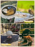 Bird Bath Purification Disk, 99.99% Copper Disc - Image 5