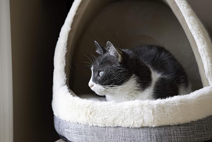 Best Pet Supplies Dog House Bed Crate Mat Tent Indoor Round Soft Plush - Image 6