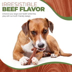 SPOT Bam-Bones Plus Branch -Bamboo Fiber & Nylon, Durable Long Lasting Dog Chew - Image 7