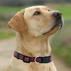 New & Improved Pets First NFL Licensed PET Collar- Heavy-Duty, and Durable New - Image 4