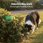 Race&Herd Original Dog Scent Training Kit, Scent Work Training Kit - Image 5