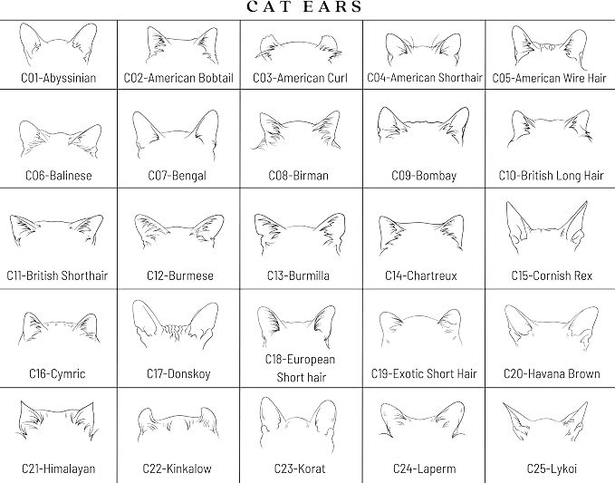 Personalized Dog or Cat Ear T-Shirt – Custom Pet Name Shirt - Image 5