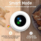 ORSDA 2in1 Interactive Toys for Indoor Cats, Timer Auto On/Off, Cat Toy Balls & - Image 5
