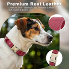 Plutus Pet Genuine Leather Dog Collar – Adjustable Pet Collar - Image 3