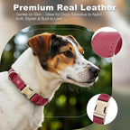 Plutus Pet Genuine Leather Dog Collar – Adjustable Pet Collar - Image 3