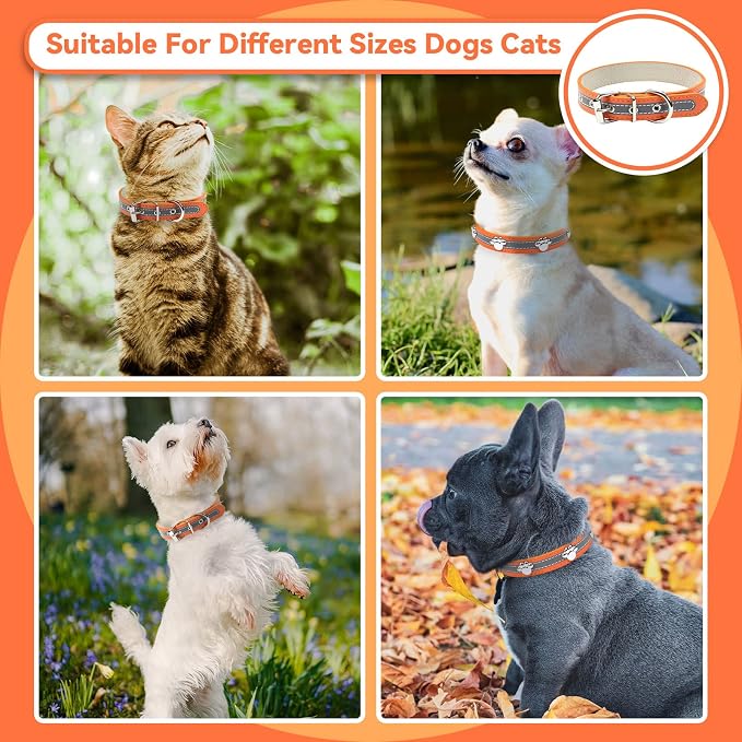 PETCARE Reflective Dog Collar - Image 3