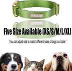 Nylon Dog Collar - Image 8