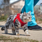 PetiFine Extra Small Step in Dog Harness and Leash Set, Cat Harness and Leash - Image 7