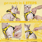rabbitgoo Cat Harness and Leash - Image 8