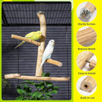 Natural Wood Bird Perch & Play Stand - Image 2