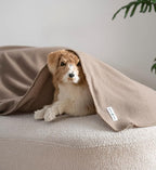 Fleece Throw Blanket Set Bulk for Travel Kids Outdoor Wedding Pet - Image 5