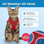 Voyager Escape-Proof Step-in Lock Cat Harness & 5ft Neoprene-Handle Leash Set - Image 3